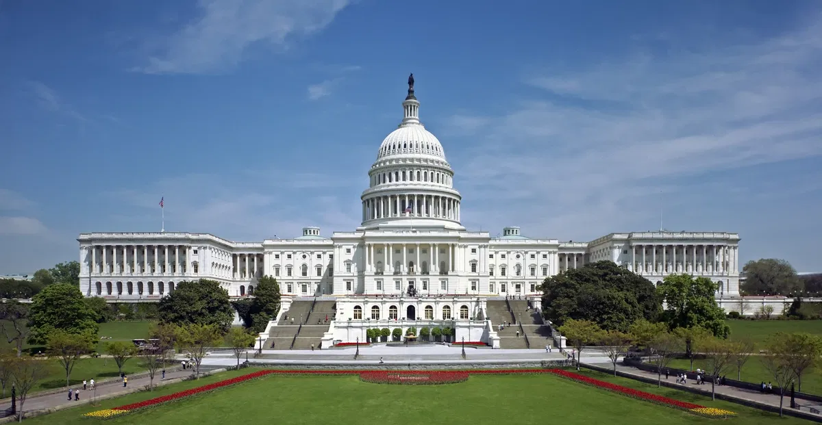 Avatar of Congress Simulator