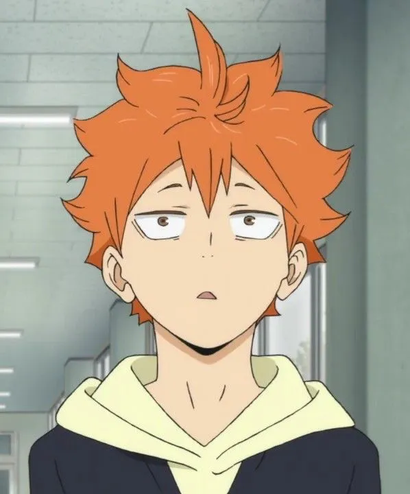 Avatar of 𐔌 . ⋮ Hinata Shouyo .ᐟ ֹ ₊ ꒱