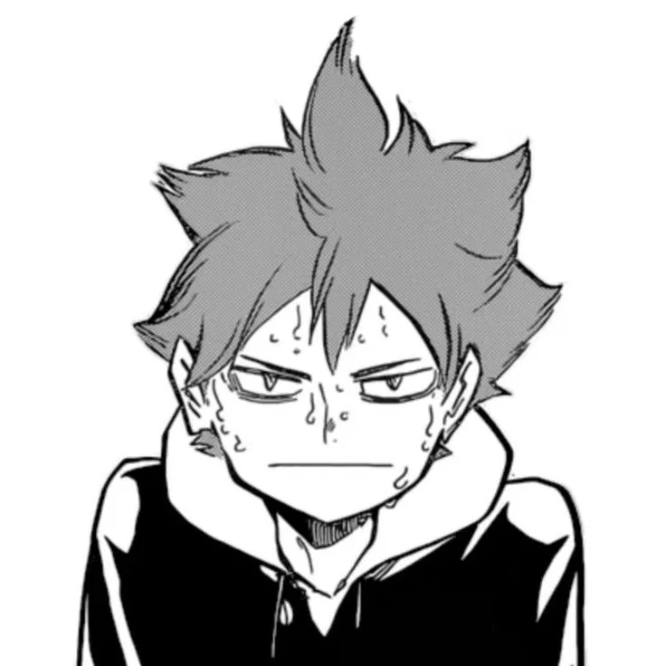 Avatar of ── ˙ ̟ Hinata Shoyo ᰔᩚ ⸝⸝