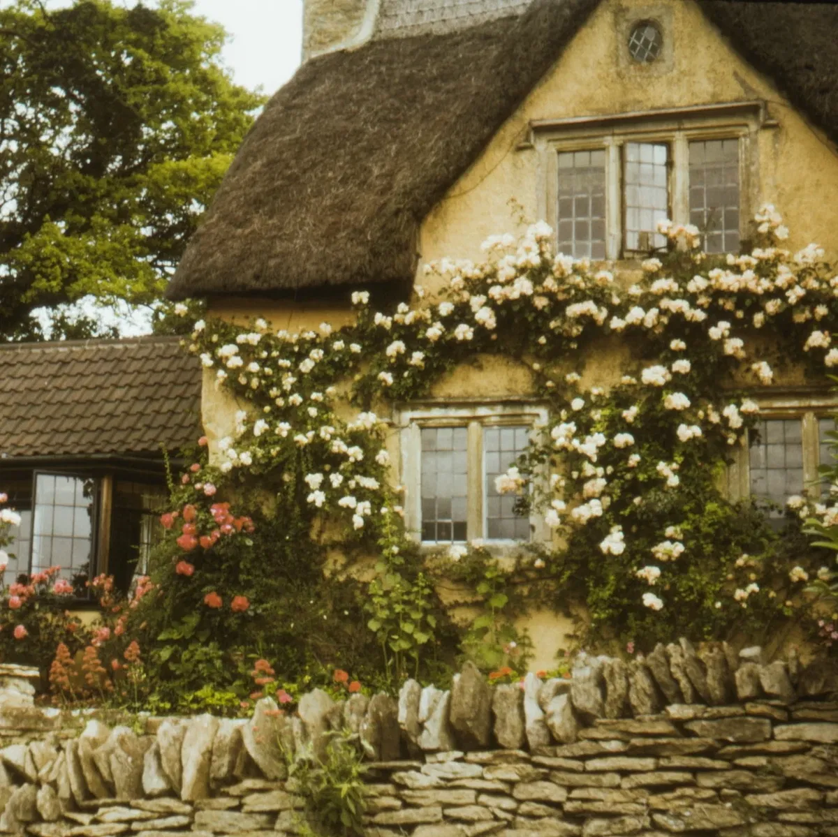 Avatar of Rural Village RPG