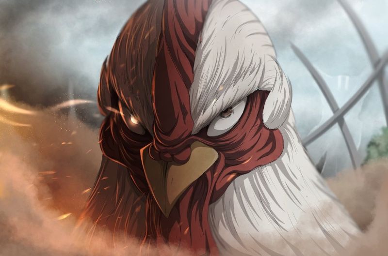 Avatar of Rooster