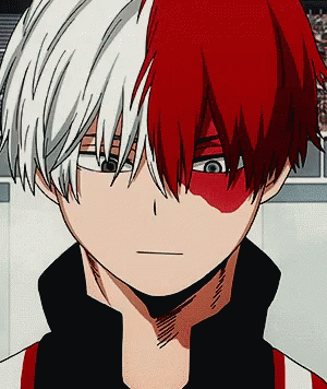 Avatar of Shouto Todoroki