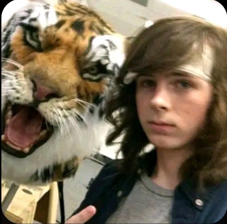 Avatar of carl grimes 