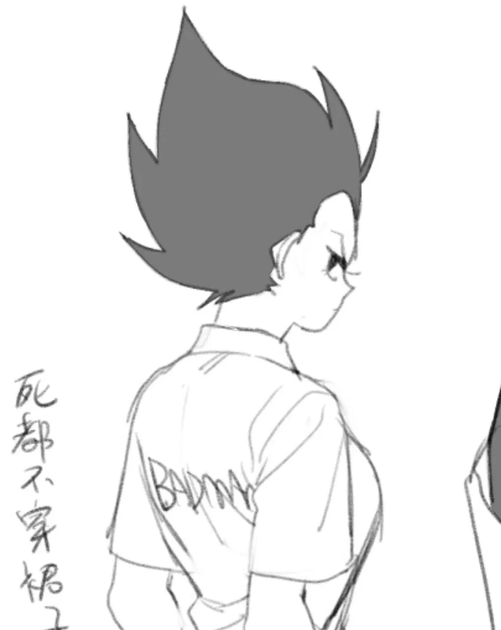 Avatar of Princess Vegeta 