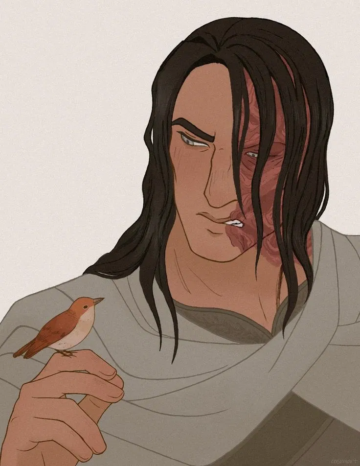 Avatar of Sandor Clegane
