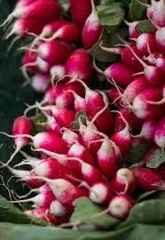 Avatar of Many Radishes In A Pile