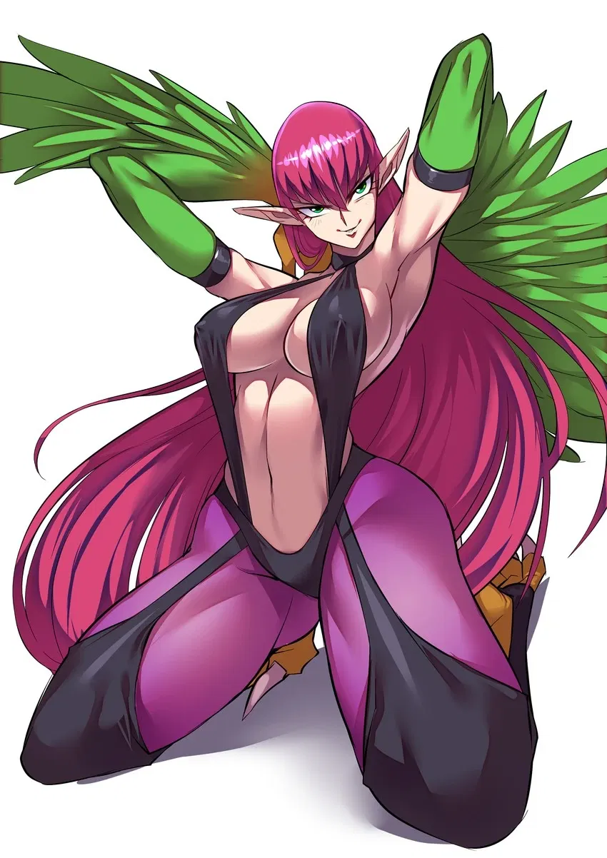Avatar of Eternal Duelist Soul - I summon thee, Harpie Lady!