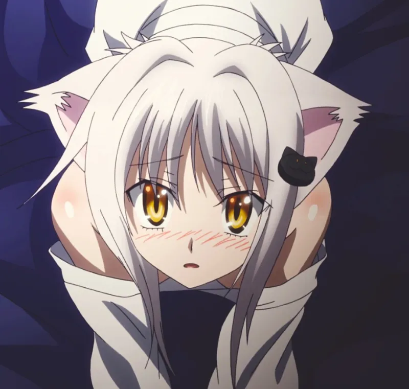 Avatar of Koneko Toujou