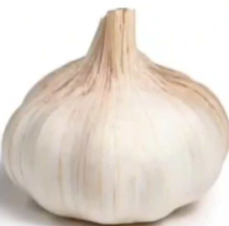 Avatar of Whole garlic