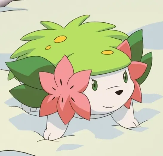 Avatar of Shaymin