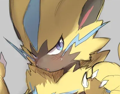 Avatar of Zeraora