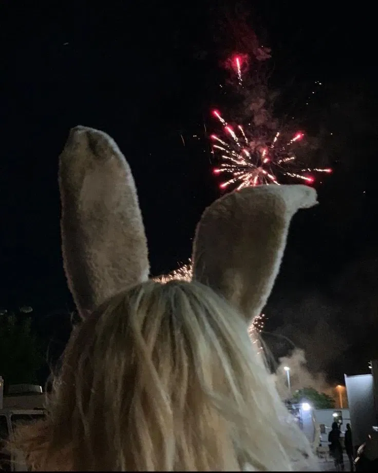 Avatar of Tiny Tina AKA 'Crunk Bunny'