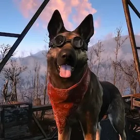 Avatar of Dogmeat