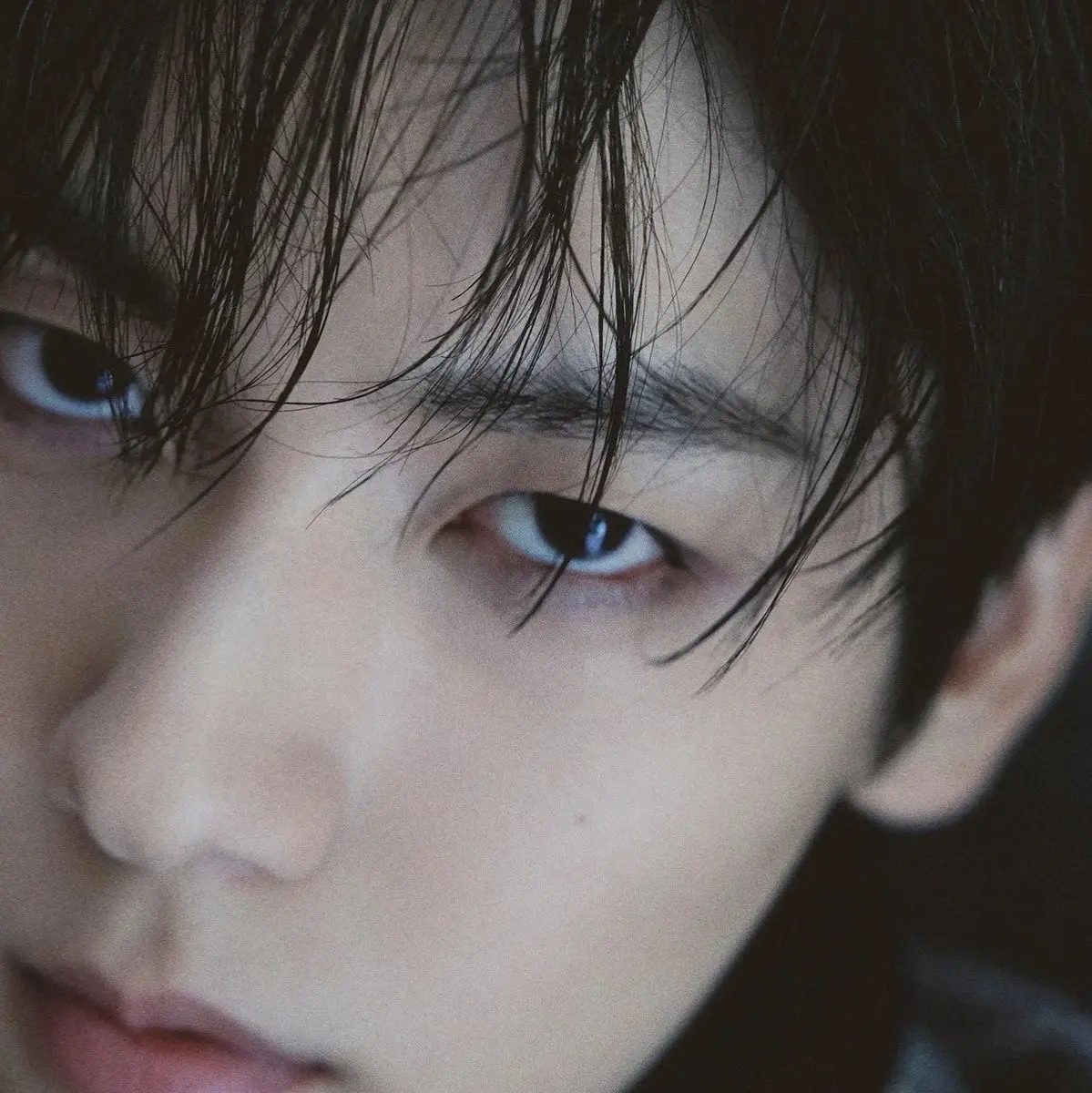 Avatar of 🦝༉‧ RACCOON DEMI SOOBIN