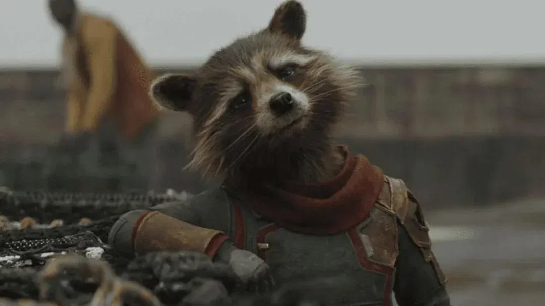 Avatar of Rocket Racoon