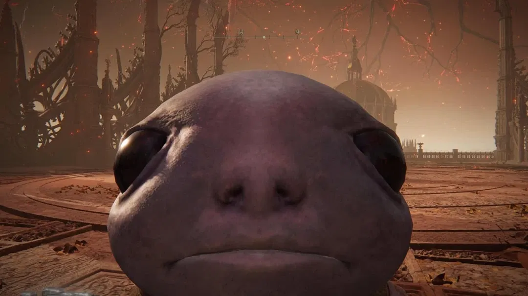 Avatar of BARF DRINKER