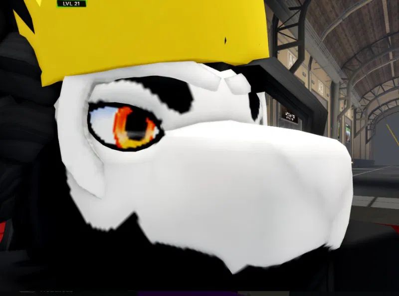 Avatar of Chris