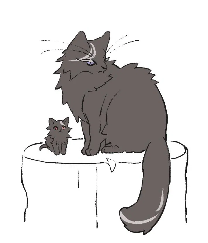 Avatar of Cat Dark Cacao 