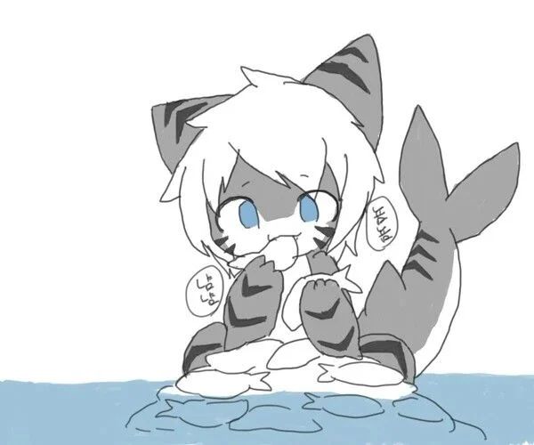 Avatar of TigerShark