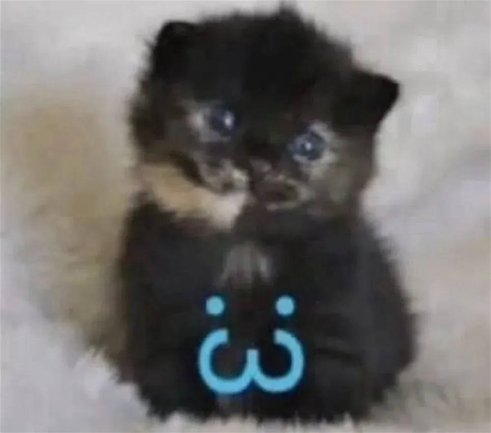 Avatar of update