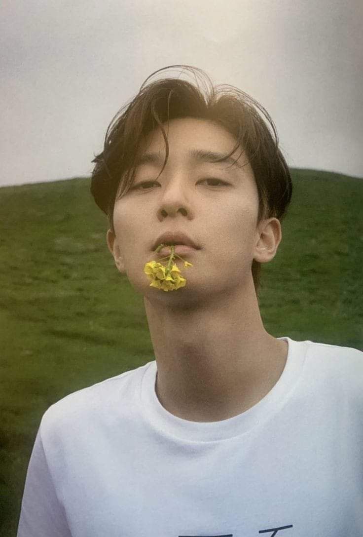 Avatar of Park Seo Joon