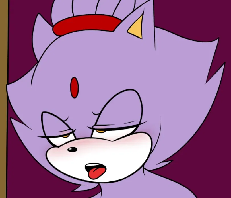 Avatar of Blaze The Cat
