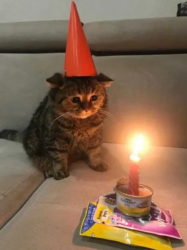 Avatar of Account birthday