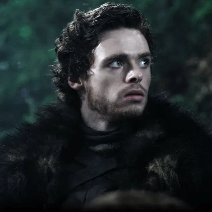 Avatar of Robb Stark 
