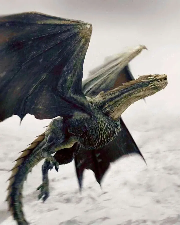 Avatar of Rhaegal