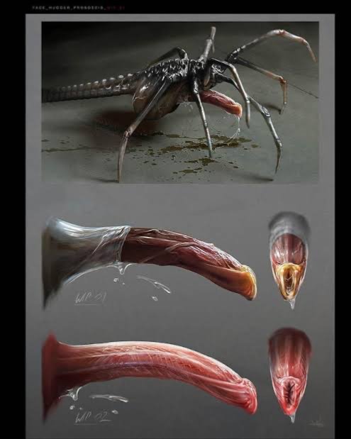 Avatar of CrotchHugger