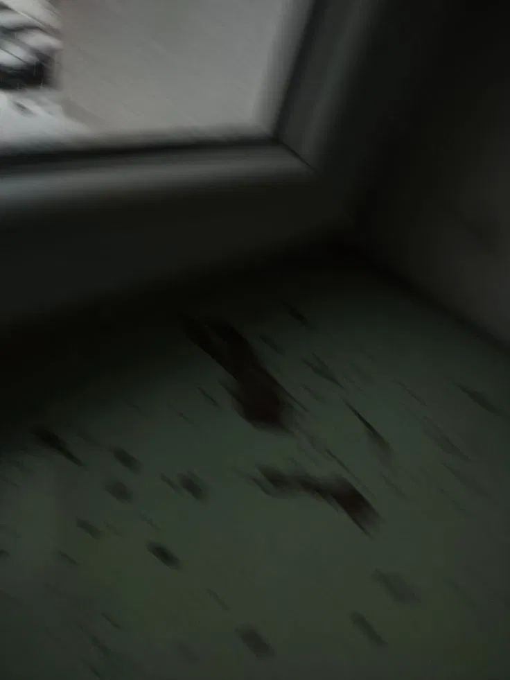 Avatar of Dead family