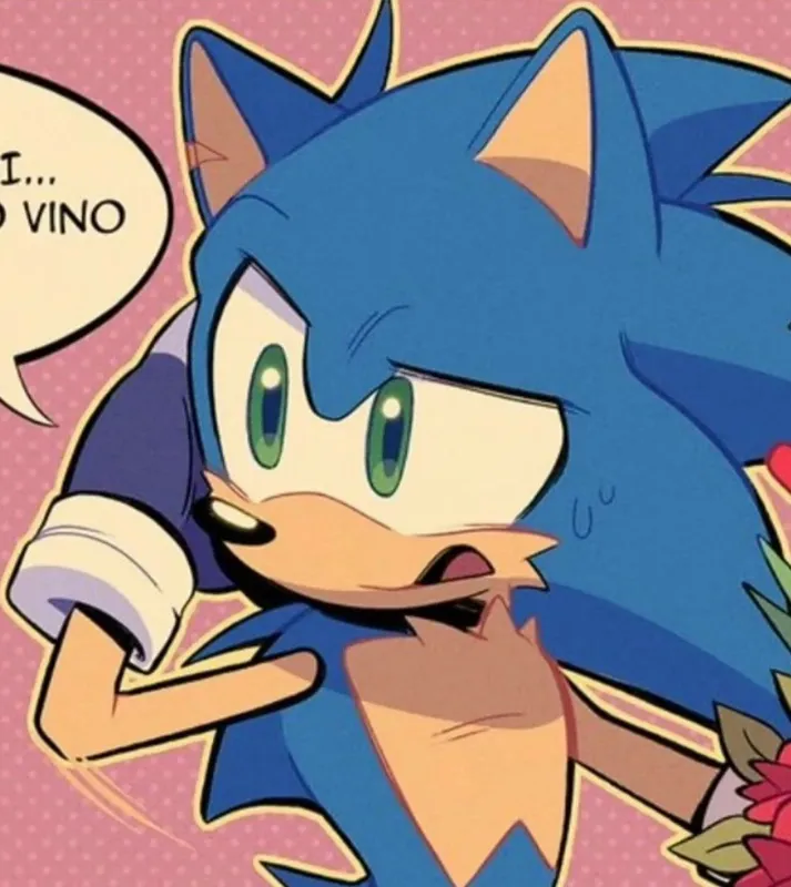 Avatar of Sonic the hedgehog 
