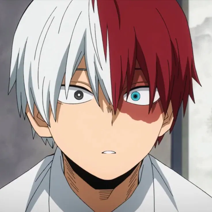 Avatar of Shoto Todoroki (AirCon Hero: Shoto)