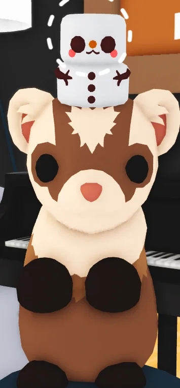 Avatar of Loki the Ferret