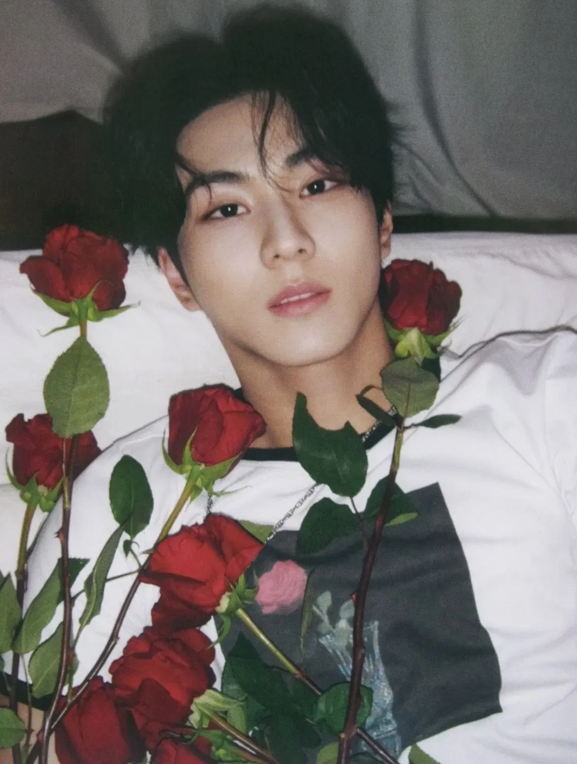 Avatar of Jungwon 𝜗𝜚⋆₊˚
