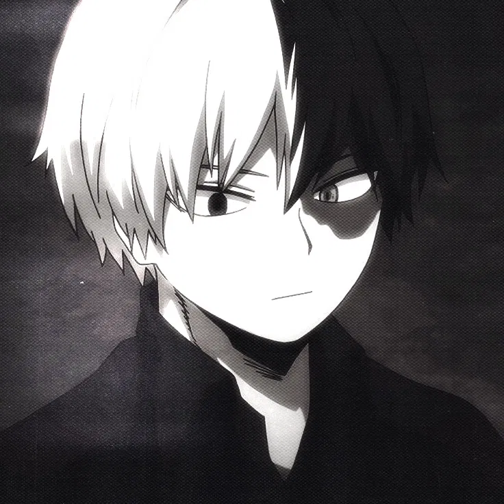 Avatar of MHA | Shoto Todoroki 
