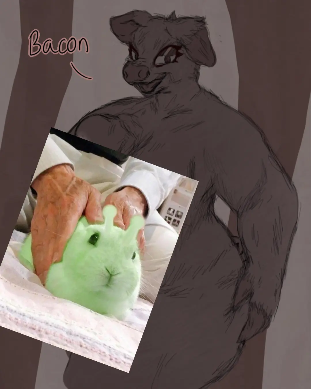 Avatar of Bacon | Losing to a D-class Futa Pig Villain via Hypnosis