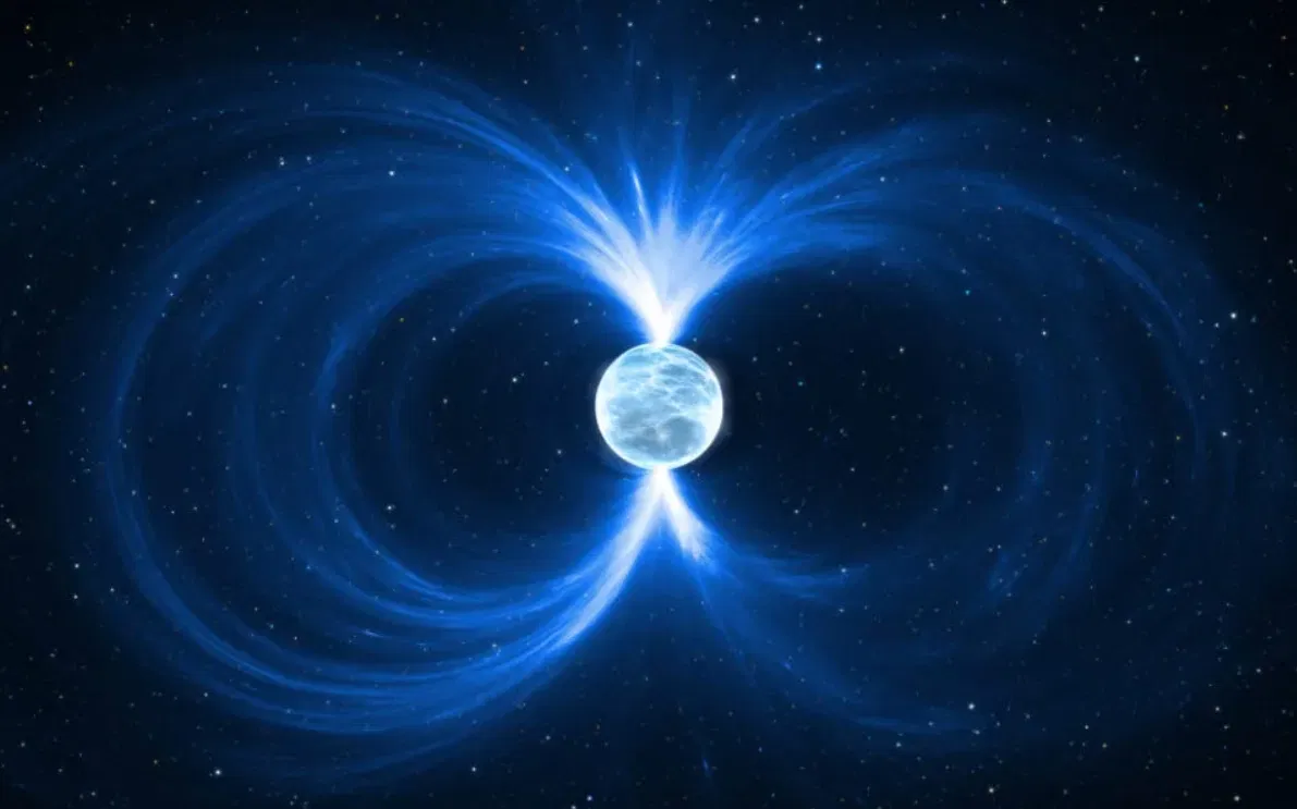 Avatar of Reincarnation into any world as anything