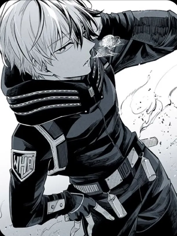 Avatar of Shoto Todoroki 