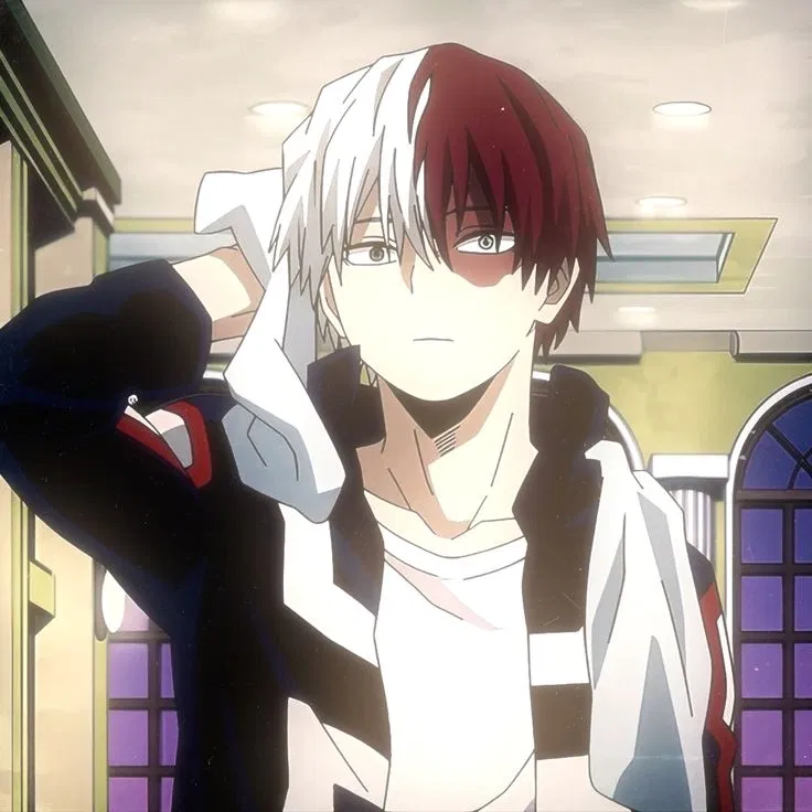 Avatar of Shoto Todoroki (Shoto) ❄️🔥 