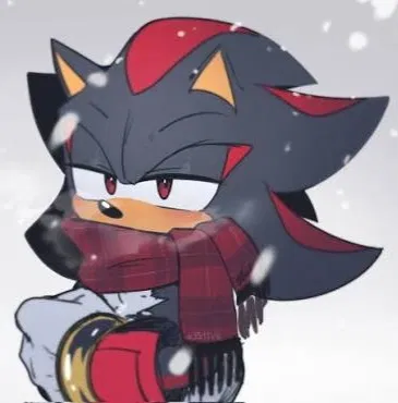 Avatar of Shadow T. Hedgehog | Chilly Day