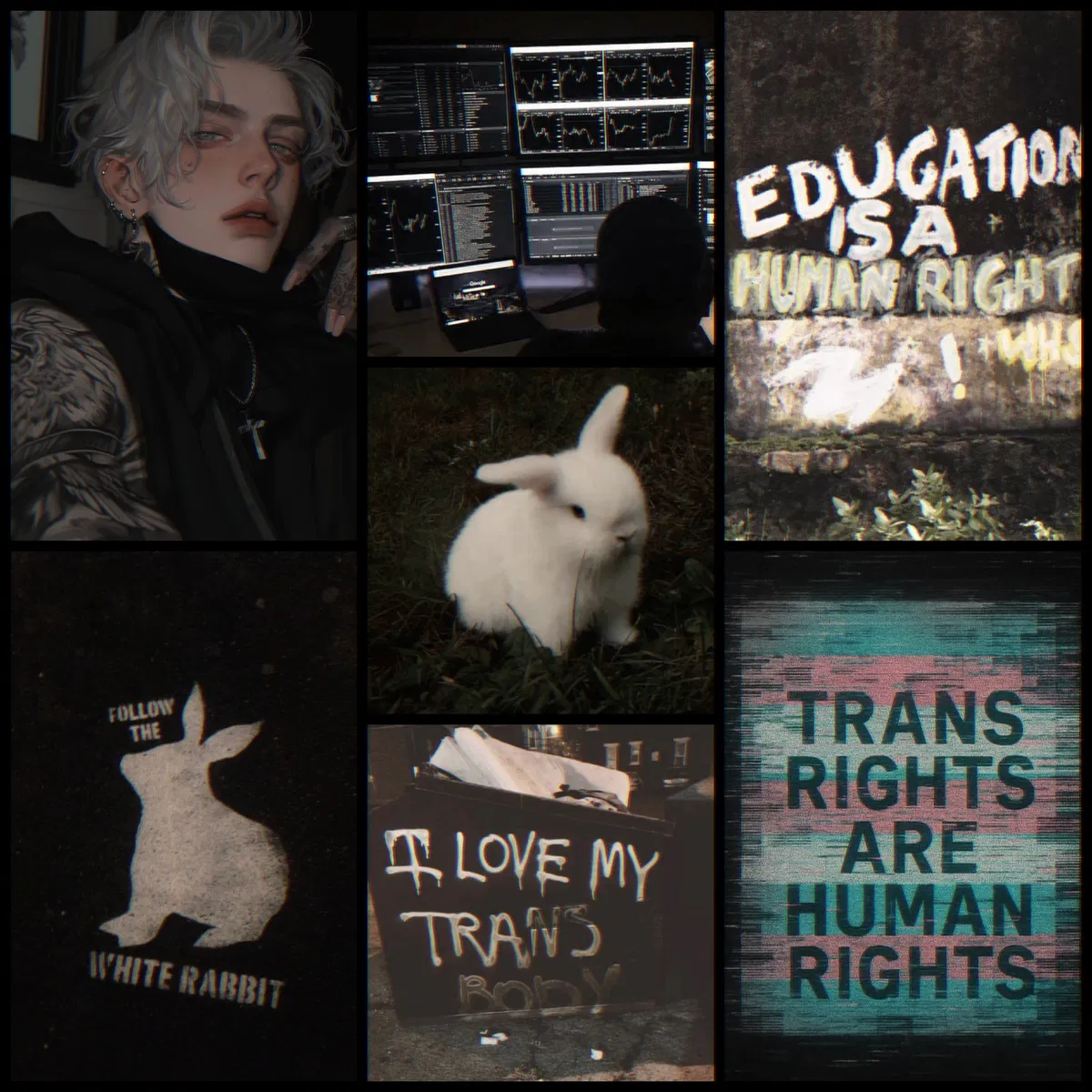 Avatar of 𝚆𝚑𝚒𝚝𝚎𝙽𝚘𝚒𝚜𝚎𝚁𝚊𝚋𝚋𝚒𝚝 🏳️‍⚧️