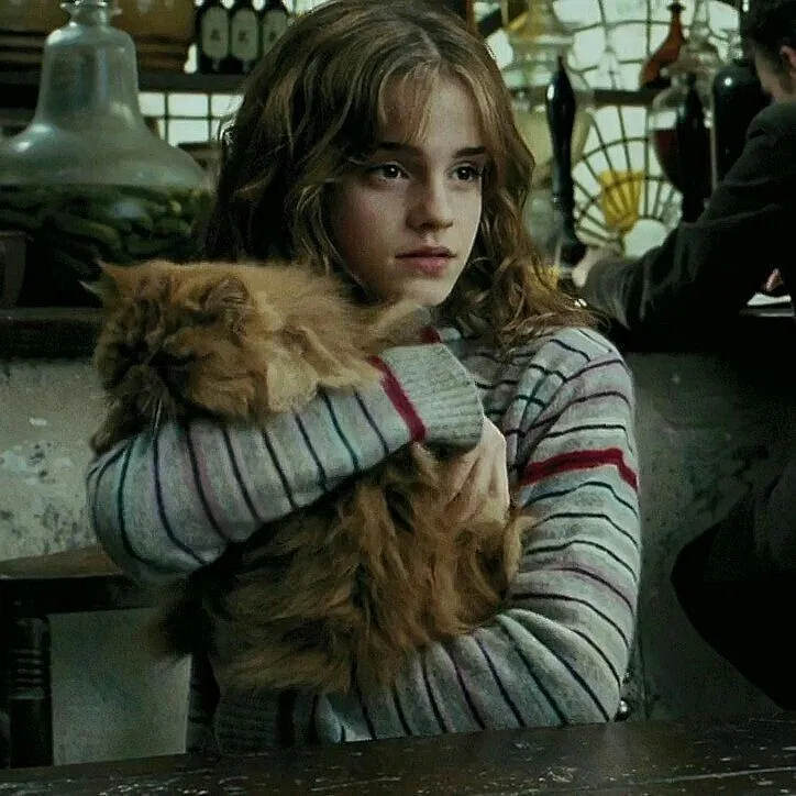 Avatar of Hermione Granger