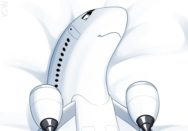 Avatar of Living Plane (Arsa Aircraft)