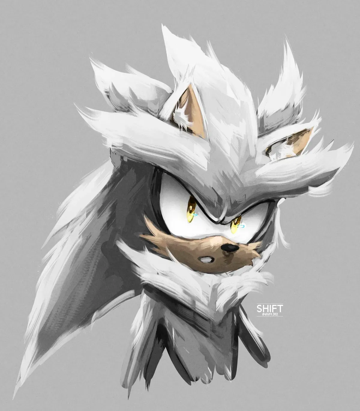 Avatar of ✿ Silver The Hedgehog ✿