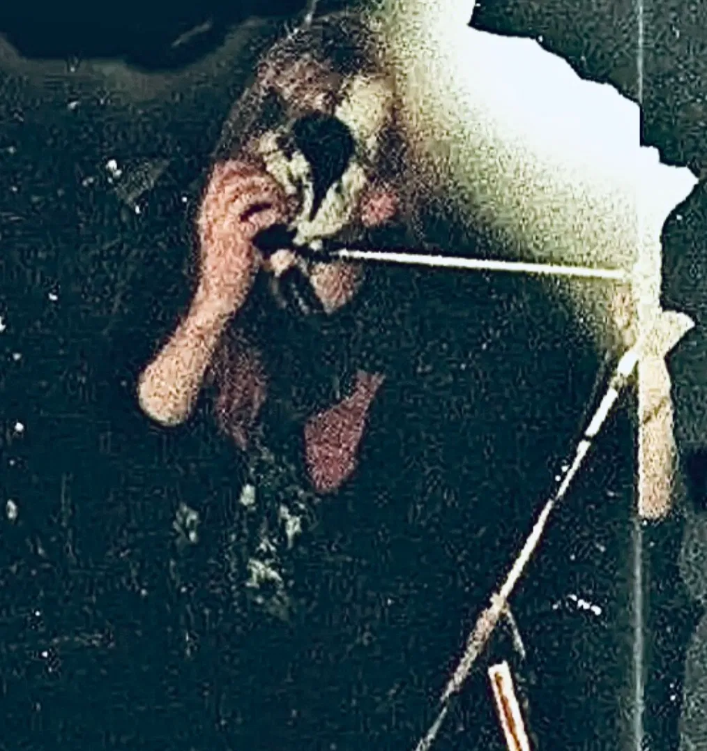 Avatar of Pelle Ohlin (SMUT)