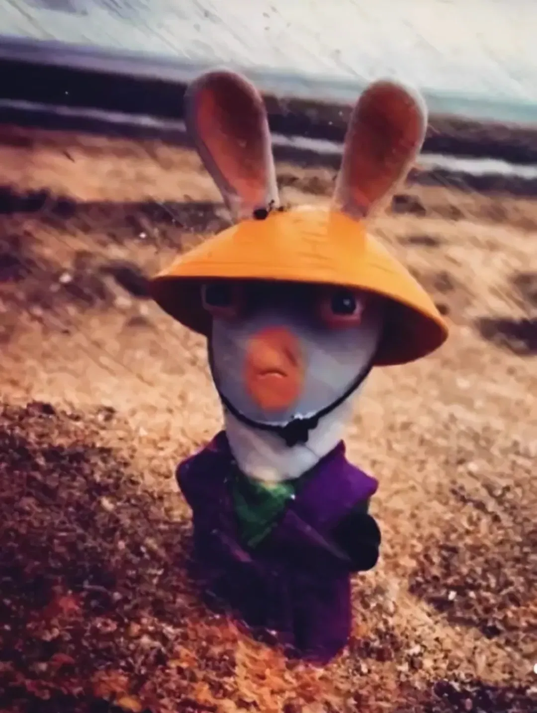 Avatar of Chinese Rabbid