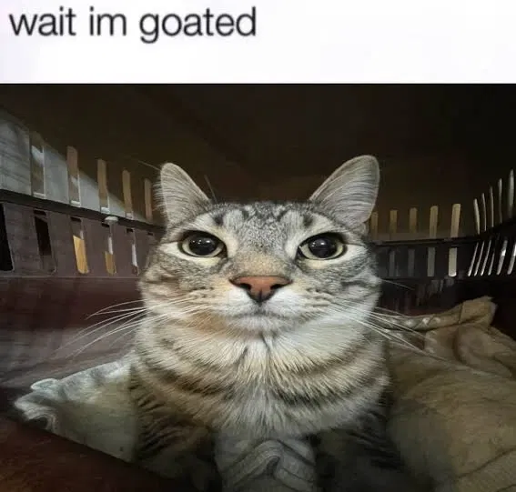 Avatar of I'm... Goated?