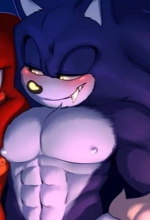 Avatar of Sonic The Werehog