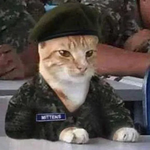 Avatar of Cadet Mittens